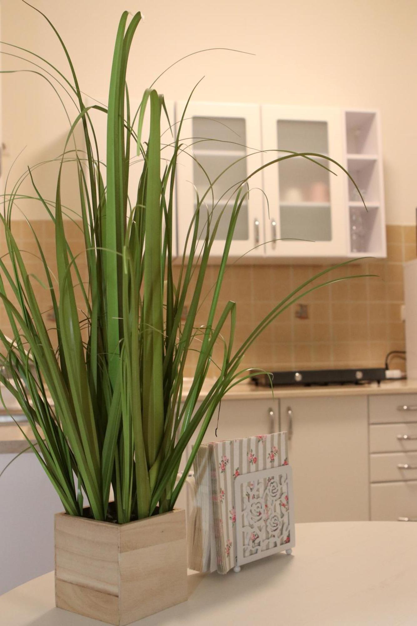 Tulipan Apartman Gödöllő Eksteriør billede